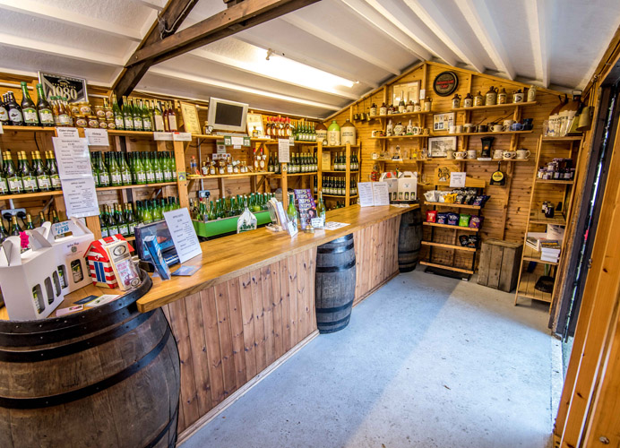 Whin Hill Norfolk Cider, Wells-next-the-Sea | Purchase Traditional Norfolk Cider, Perry & Apple Juice Online