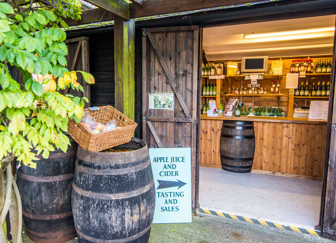 Whin Hill Norfolk Cider, Wells-next-the-Sea | Purchase Traditional Norfolk Cider, Perry & Apple Juice Online